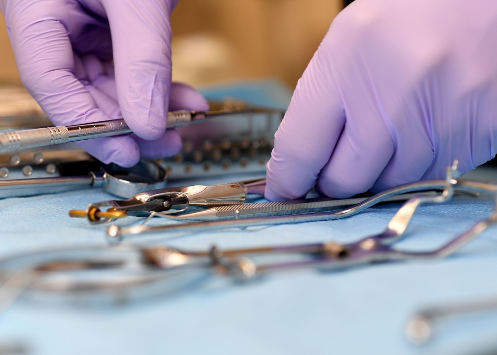 Preparation of dental instruments